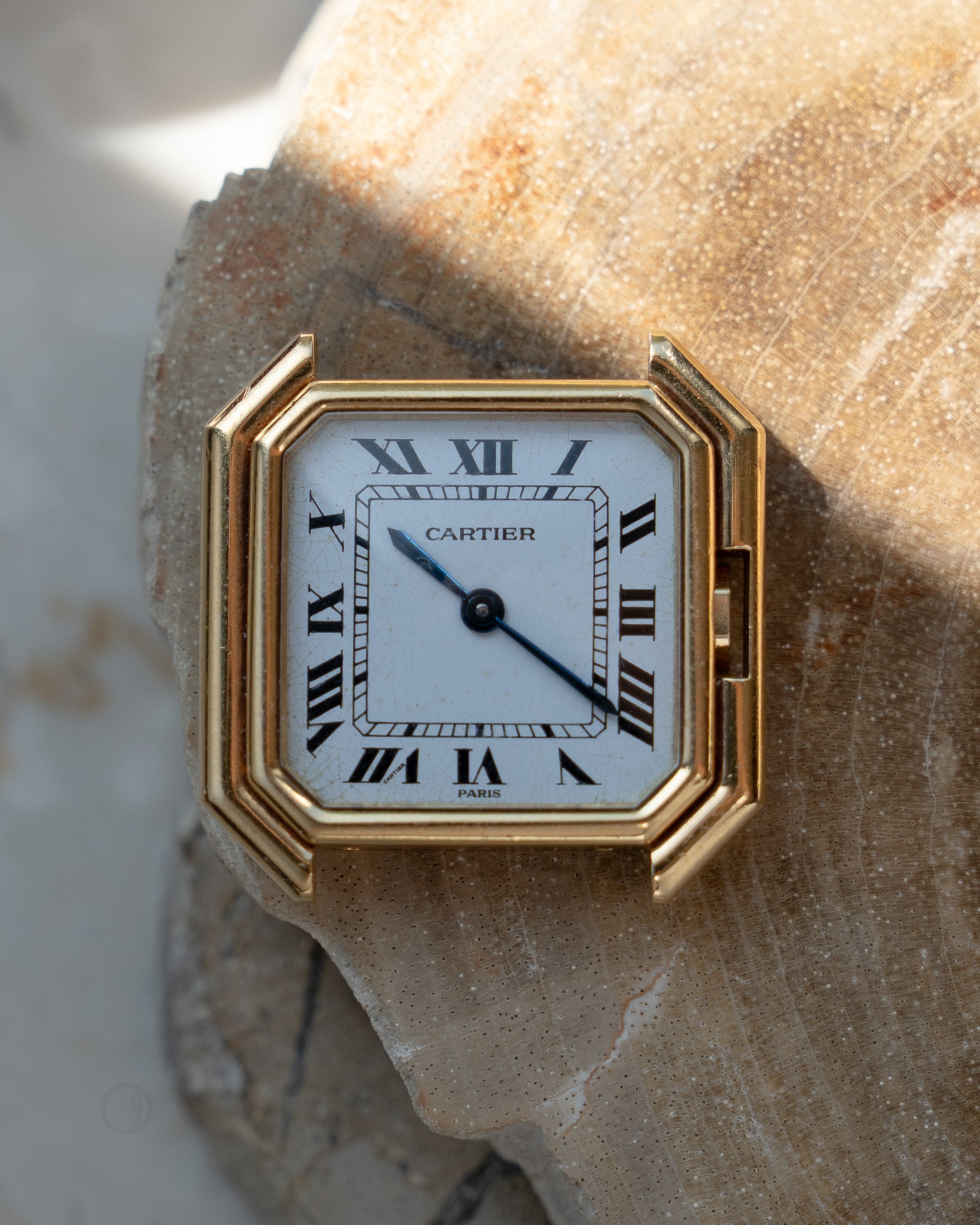 Cartier Ceinture ref 78099 LM size in yellow gold – Special Dial