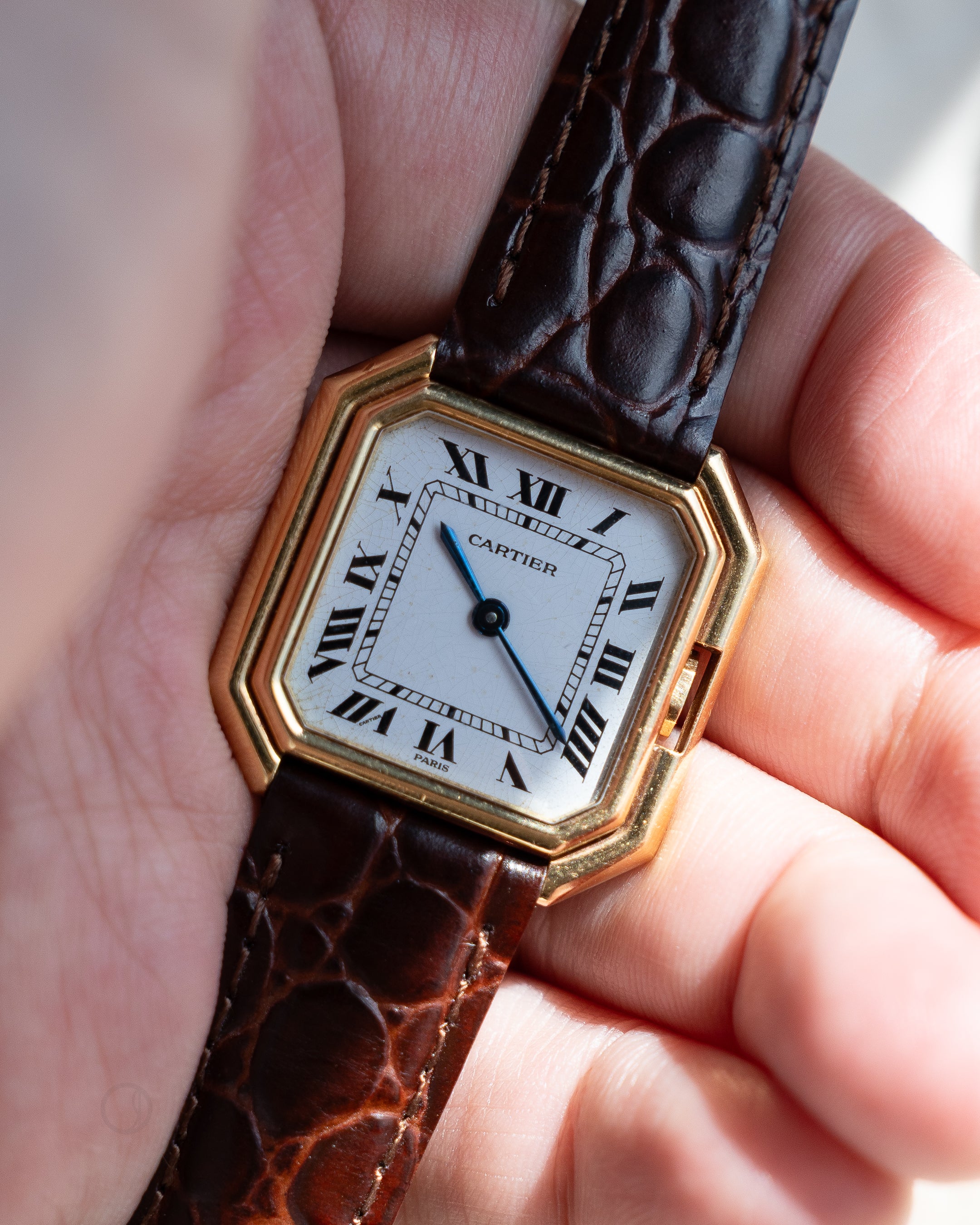 Cartier Ceinture ref 78099 LM size in yellow gold – Special Dial